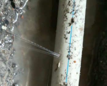 沙河卫生间测漏水多少钱